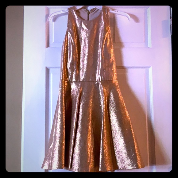 Alice and Olivia Rose Gold Dress